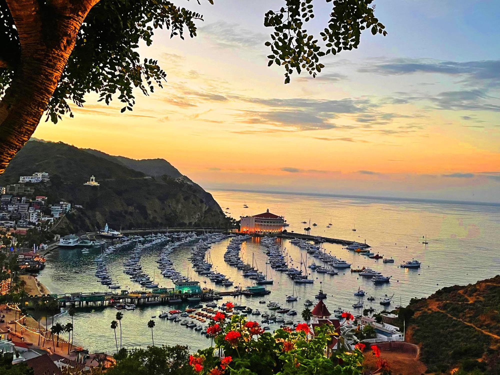 Catalina Courtyard Suites Авалон Экстерьер фото